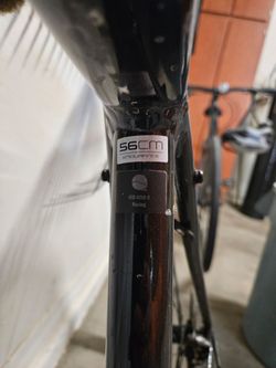 Trek Domane 2 Disc-2021 Model