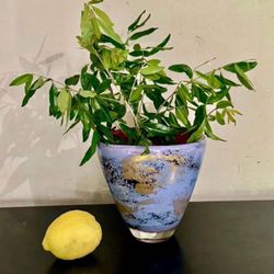 1989 Hand-Blown Art Glass Vase. Signed-Dated.