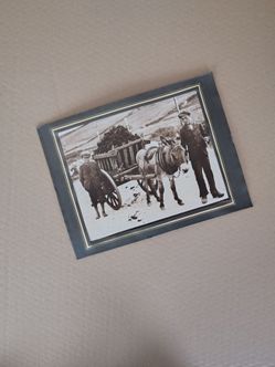 Set of 2 Original 1900s Ireland Photographs