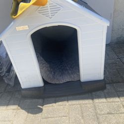 Dog House