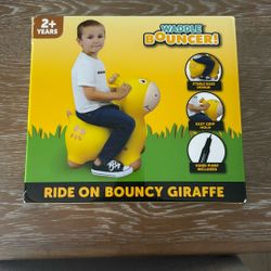 Waddle bouncer 