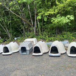 Dog House Dog Igloo