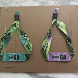 Lollapalooza Friday GA