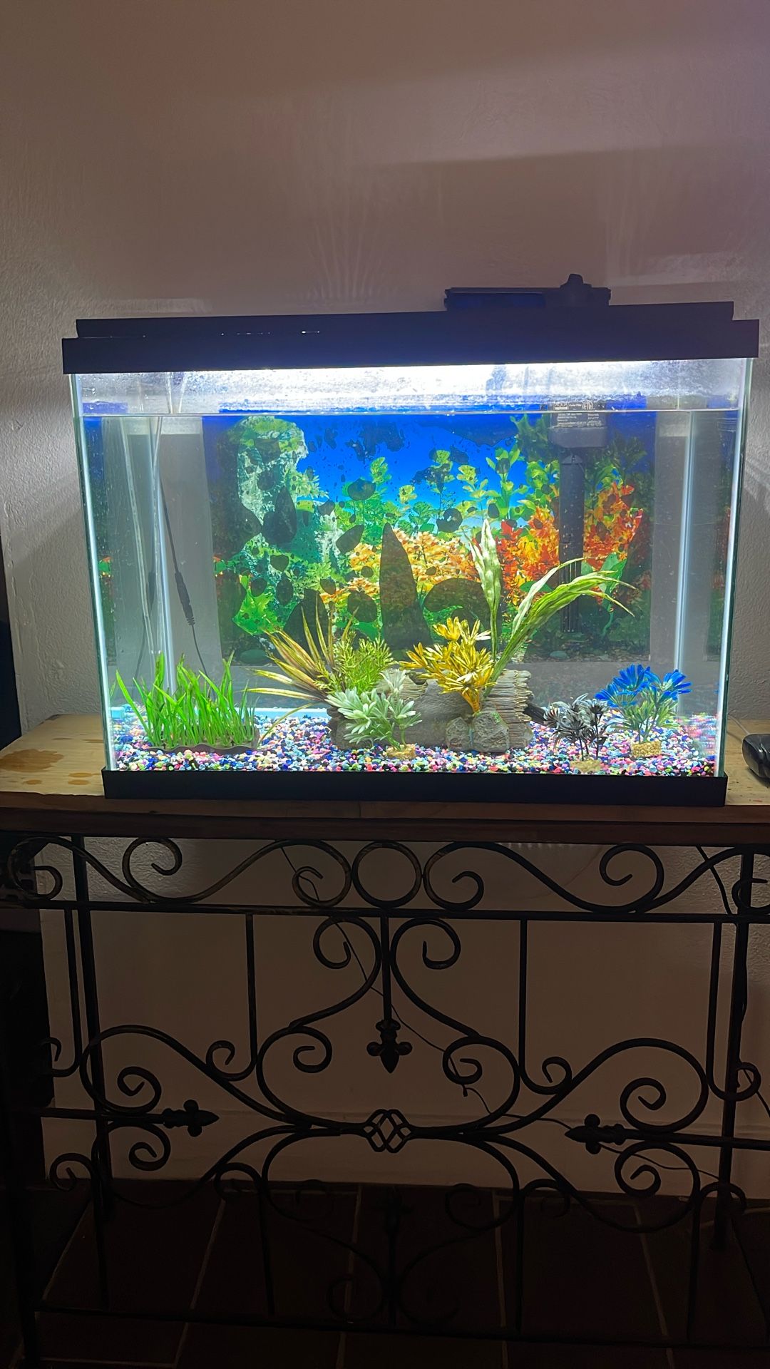 20 Gallons Fish Tank