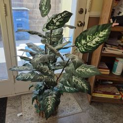 Fake Fern Plant