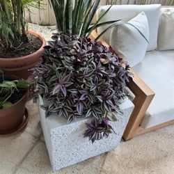 Bohemian Outdoor Side Tables