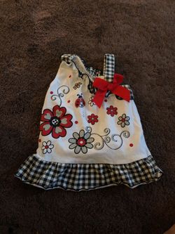 12 months $5