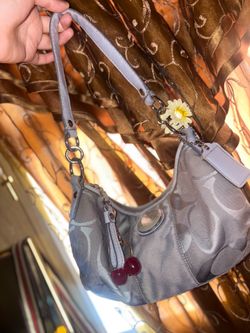 Coach hobo purse
