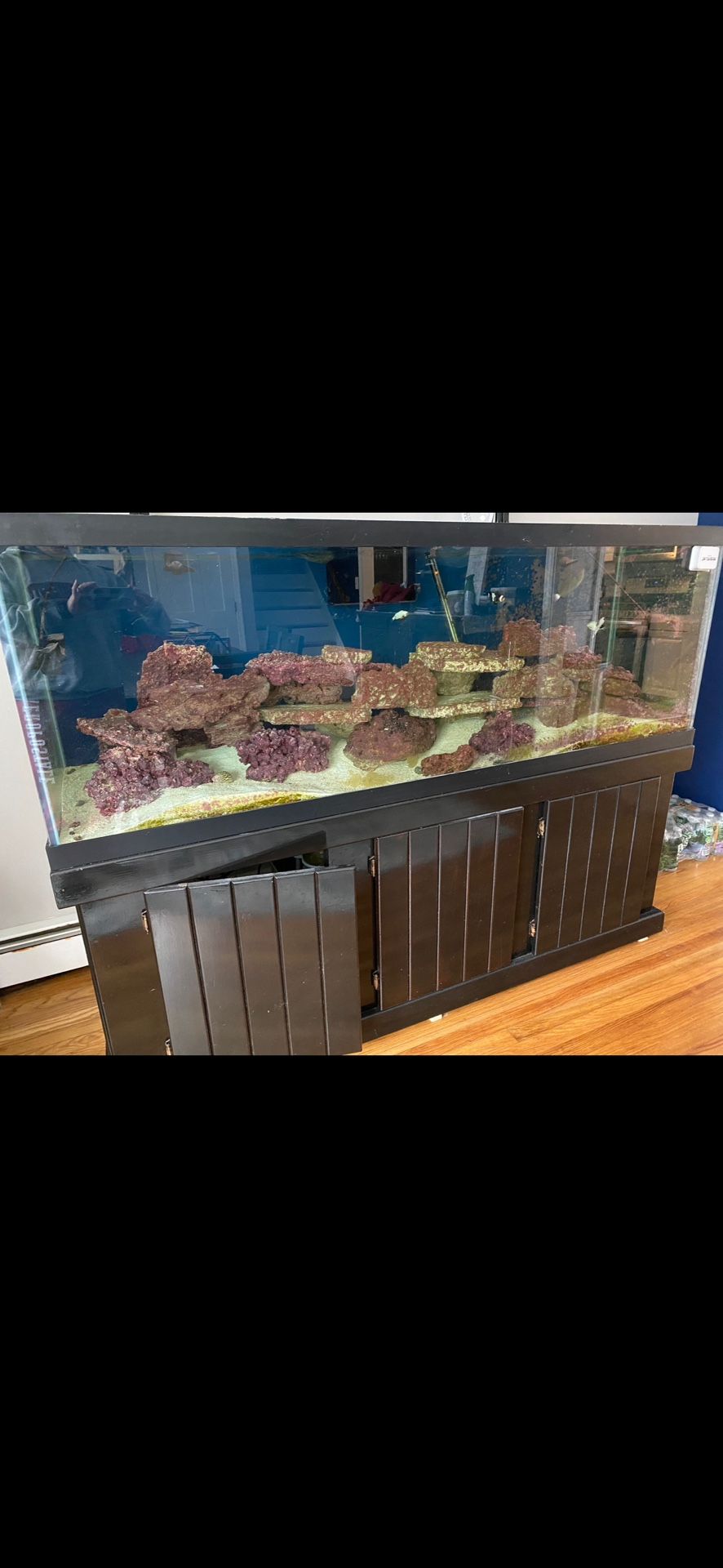 180 Gallons Fish Tank