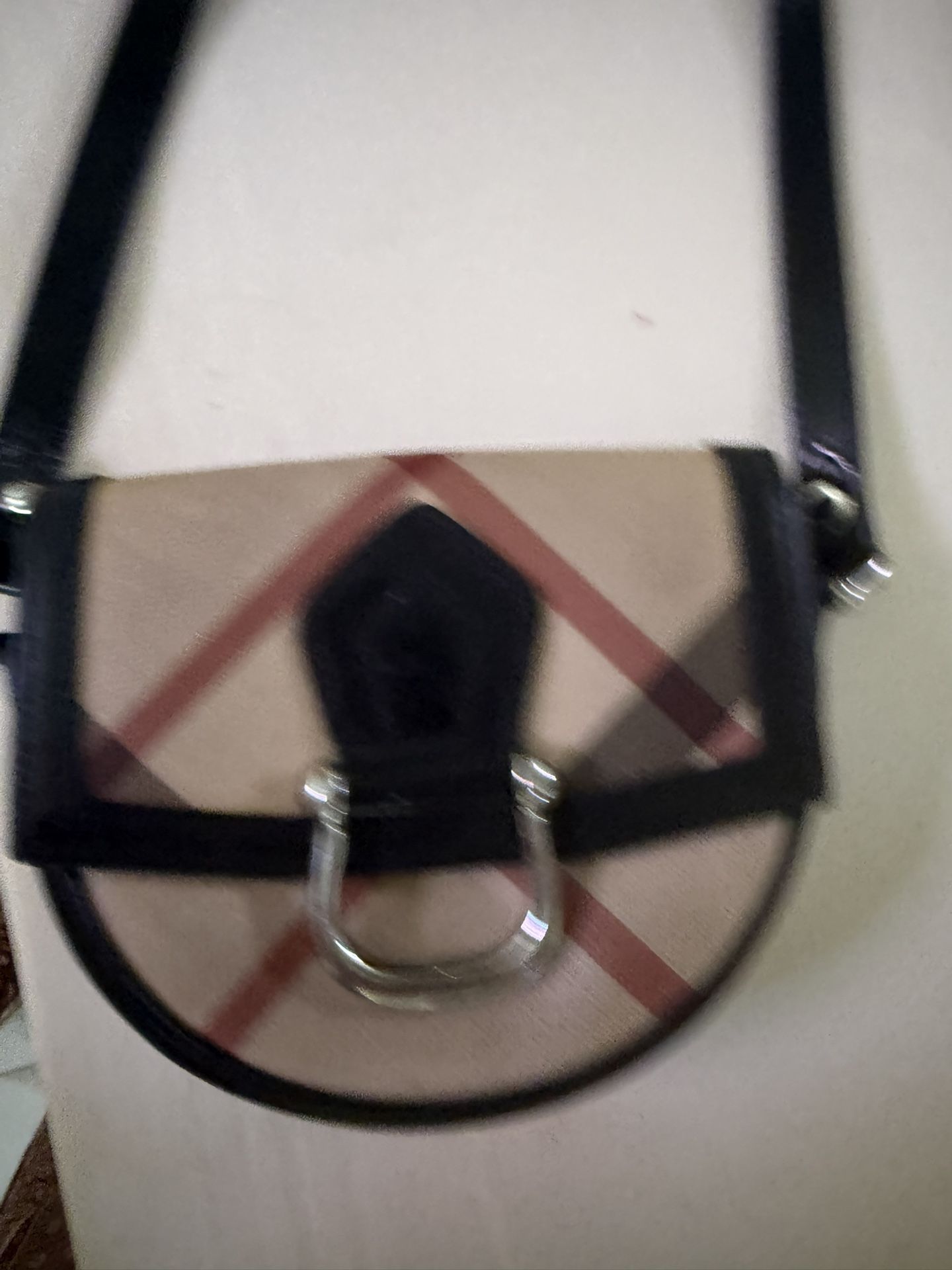 Both Designer Bags For $200