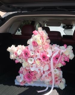 Roses