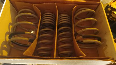 Mustang RtR PerfoPerformance Springs 