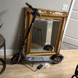 Brand New Ninebot Scooter