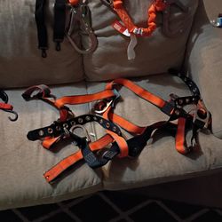 Full Body Harness 