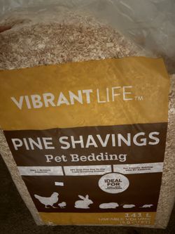 Pine Shavings