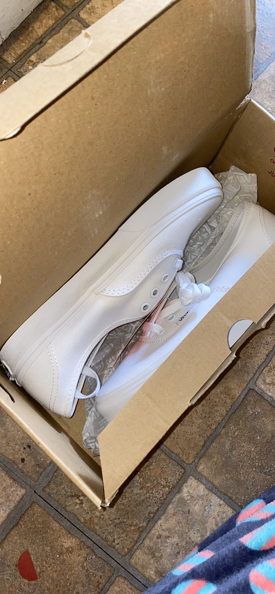 Authentic Vans (True White) BRAND NEW