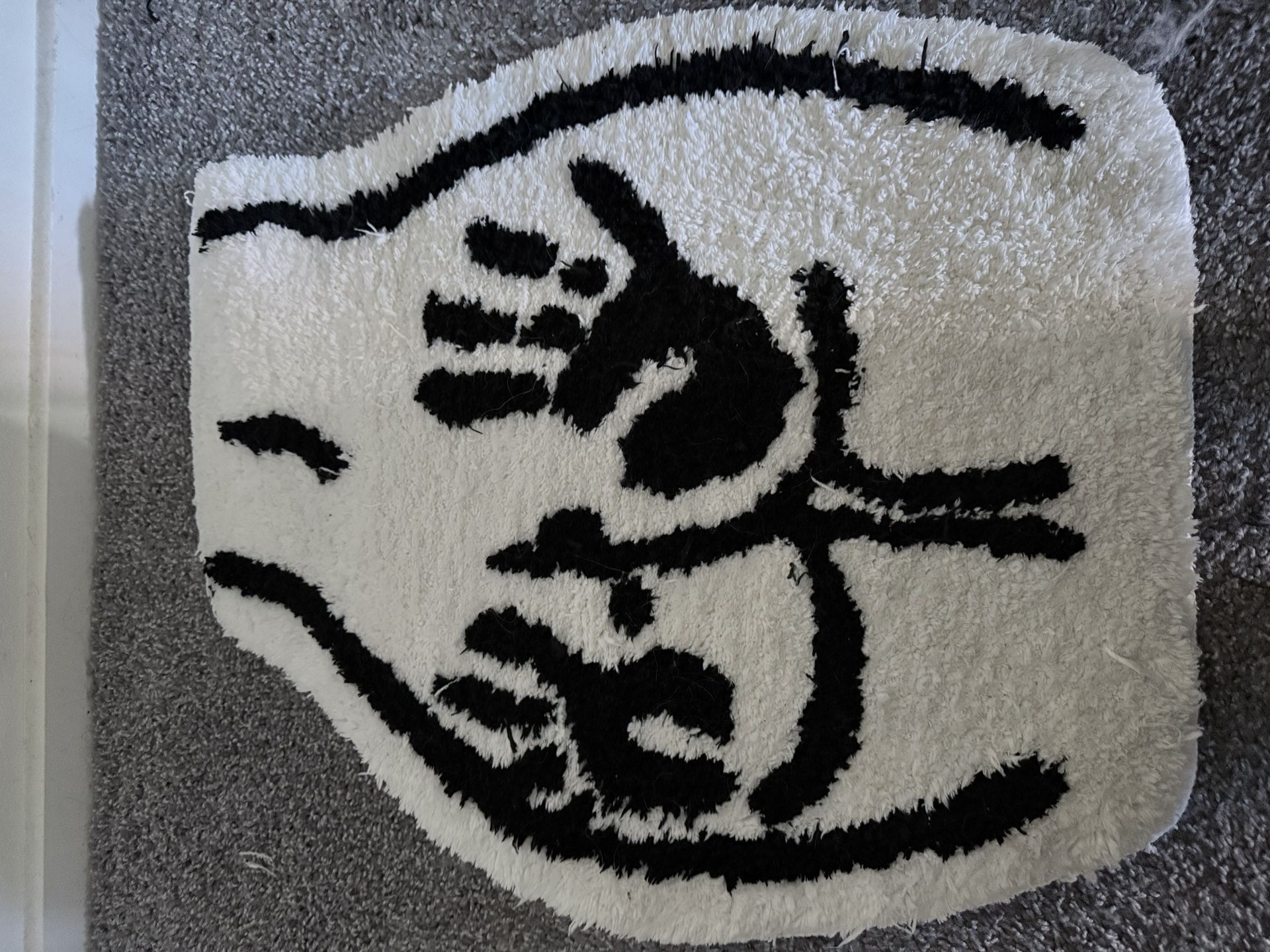 Bathroom Or Small Area Rug