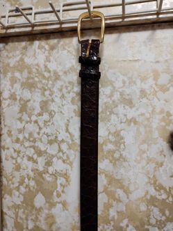 Alligator belt