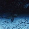 Ssssss
