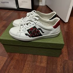 Gucci Shoes 