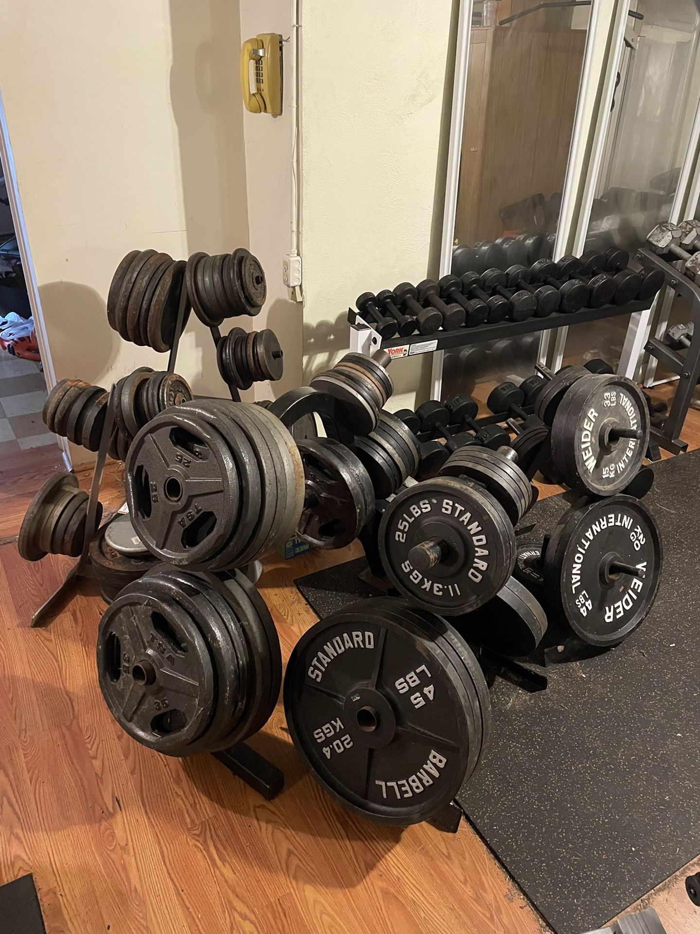 Weight plates, Dumbbells, benches and bars for sale