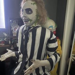 Beetle Juice Spirit Halloween Prop Text Me About Price