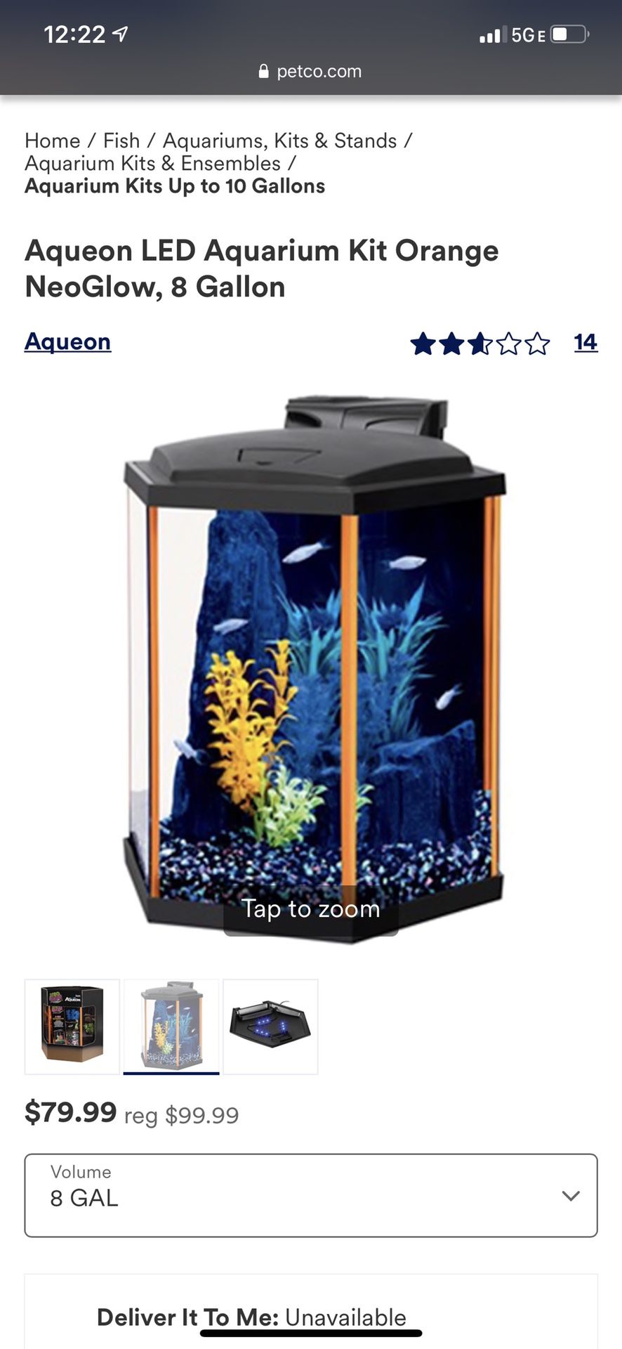Neon fish Tank