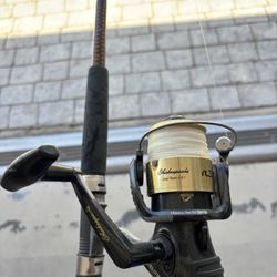 Shakespeare Tidewater Big Water Spinning Fishing Reel Gear Ratio 4.6:1 Ball