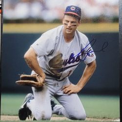MARK GRACE Signed 11x14 Photo Chicago Cubs Autograph
