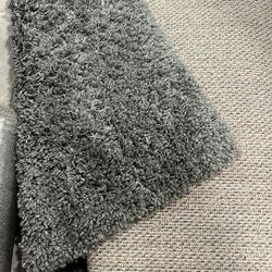 Area rug  And Pad   Free