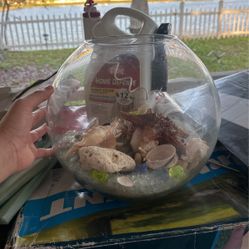 Big Fishbowl With Sea Decor Inside