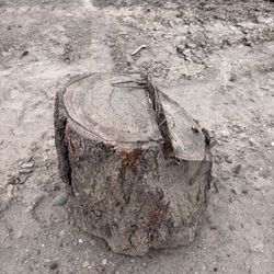 Wood Rounds 