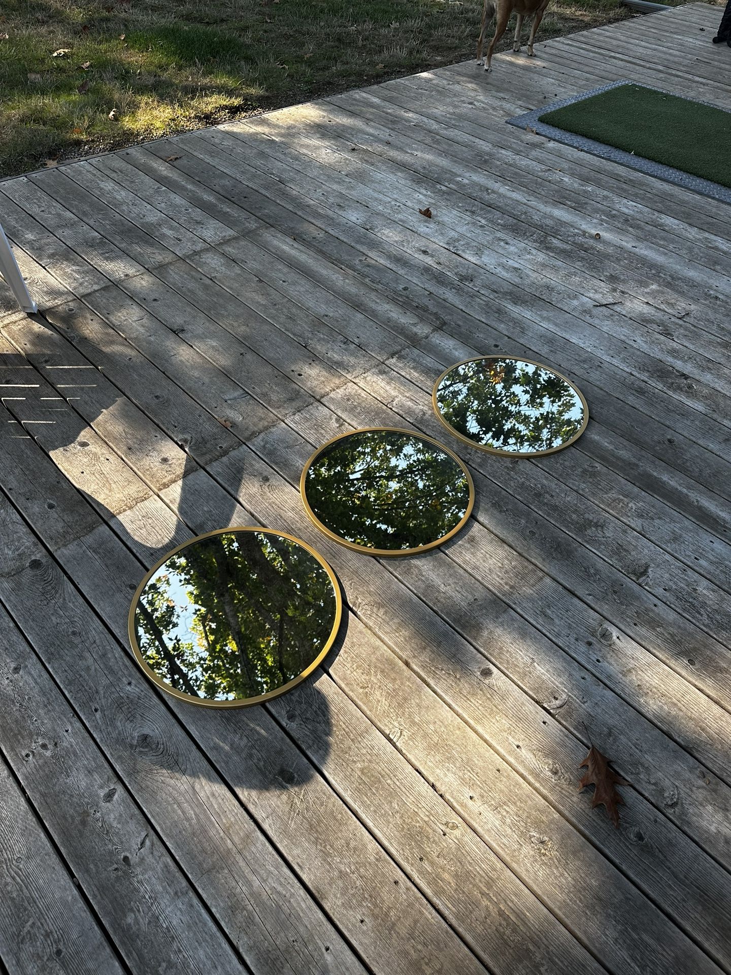 Three 18” Gold Circle Mirrors