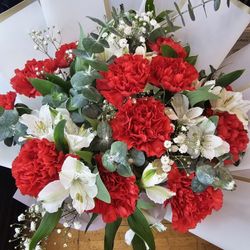Carnations Bouquet 
