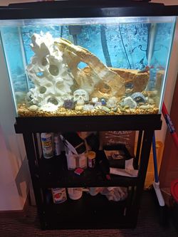 20 Gallon Fish Tank