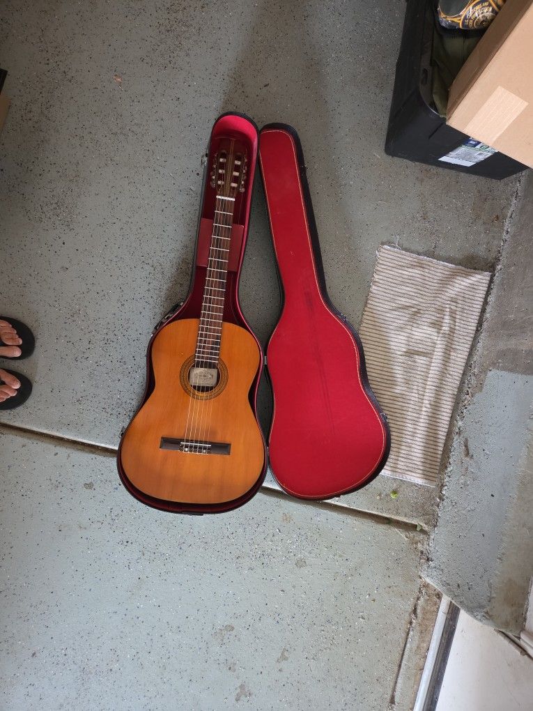 Continental DC310 Guitar