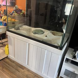 150 Gallon Fish Tank