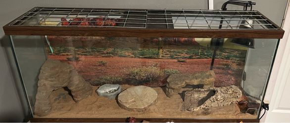 Reptile enclosure