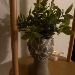 Fake Plant With Cool vase