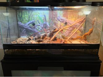 25 gallon bioactive zoo med tank. Isopods and springtails. Ready for your reptile.