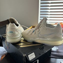 LEBRON XVII LOW SIZE 9
