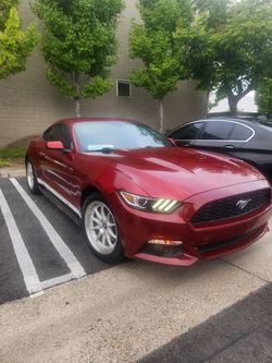 Ford mustang ecoboost 2016