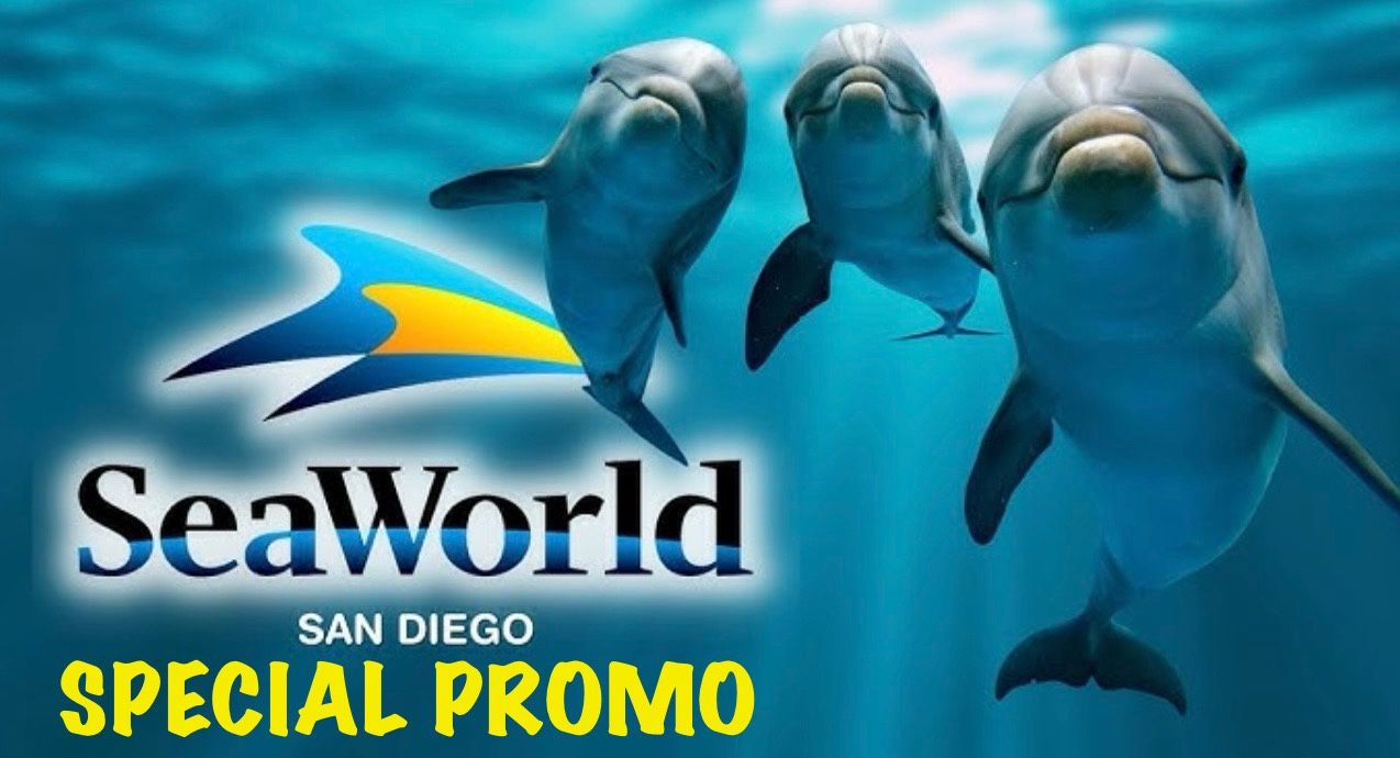 ππ’ X11 SEAWORLD SAN DIEGO ποΈπ’π