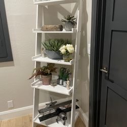 While Ladder Shelf 