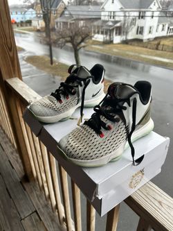 LeBron  5 Pure Platinum Size 9.5