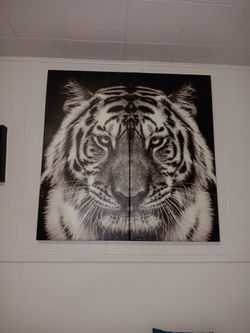 Tiger Wall Art Frame