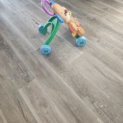 Baby Push Toy
