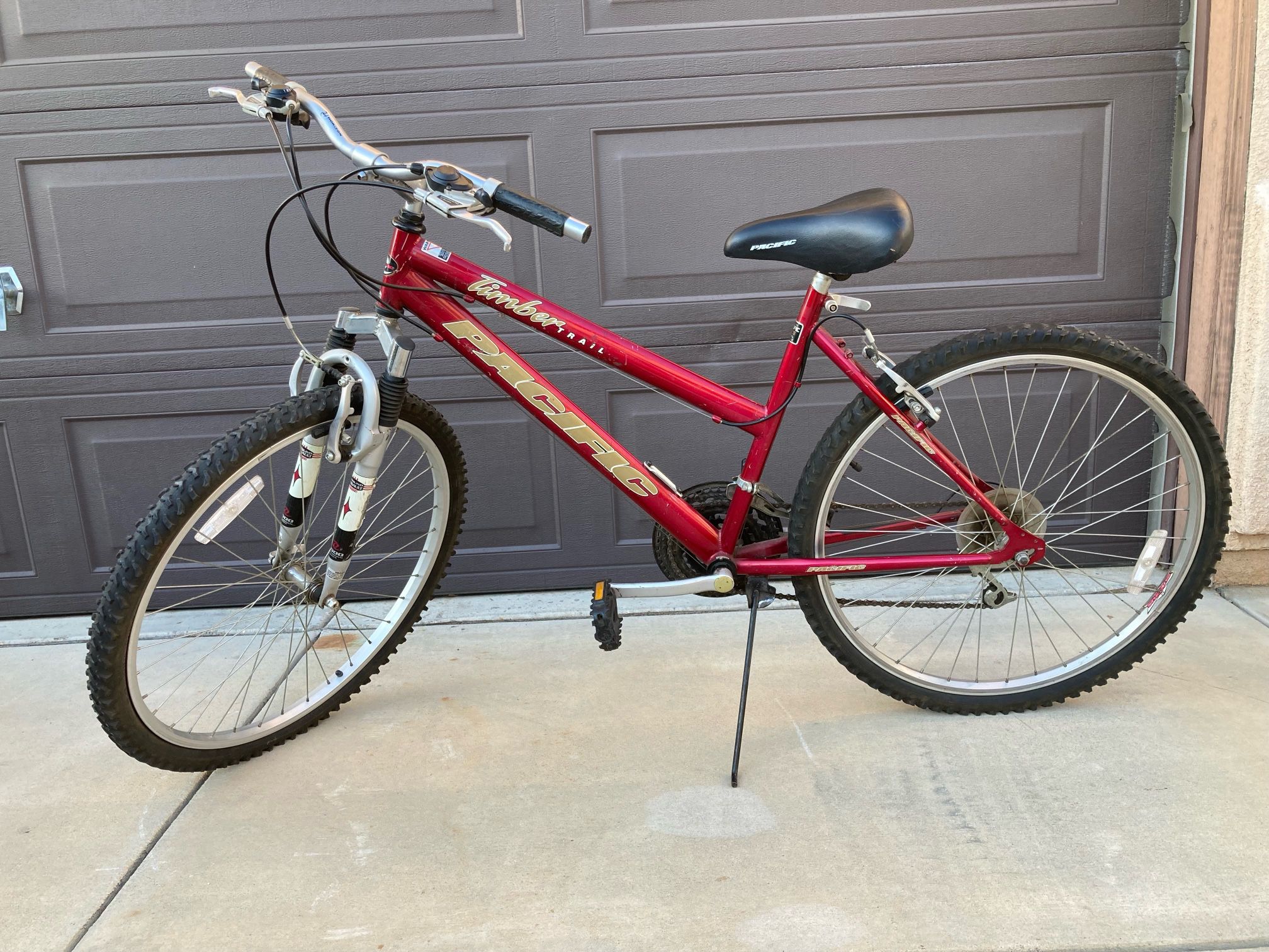 Adult Bicycle 