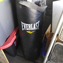 Everlast Punching Bag