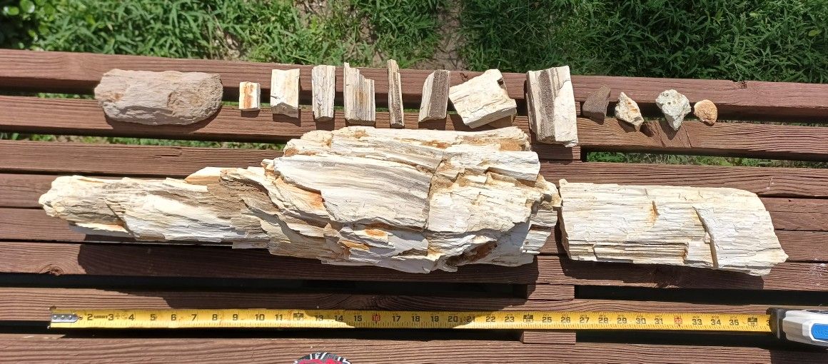 Natural Petrified Wood W/Smokey Quartz Veins